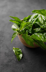 Wall Mural - Fresh basil in a wooden bowl on a dark background close up. The concept of dietary and spicy herbs. Rustic style