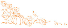 Pumpkin Thanksgiving Element Vector Illustration