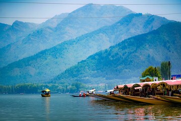 Sticker - Picturesque scene of a marina filled with many sailboats and yachts: Dal Lake Kashmir