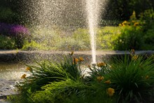 Large Spraying Water Fountain In A Lush Park With Blooming Flowers