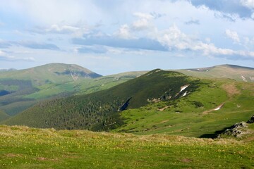 Sticker - Scenic view of the Carpathian mountains with a grassy slope in the foreground