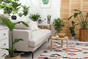 Canvas Print - Stylish room with comfortable sofa, coffee table and beautiful houseplants. Interior design