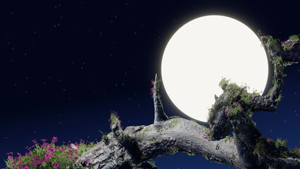 Wall Mural - pink flower bush Fast growing Timelape style with full moon background, star bokeh. Flowers are growing on dry logs quickly. 3D Rendering