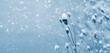© Volodymyr - Winter background with dry plants covered with snow on blurred background during snowfall, copy space