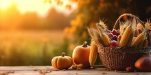 Thanksgiving Concept, Basket With Pumpkins And Corn Crop Cob On Wooden Table At Sunset With Harvest Fields Blurred Background, Copy Space For Text