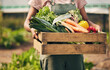 © Charlize Davids/peopleimages.com - Farmer hands, box and vegetables in greenhouse for agriculture, supply chain business and product in basket. Person, seller or worker in gardening for sustainability NGO, nonprofit and food harvest