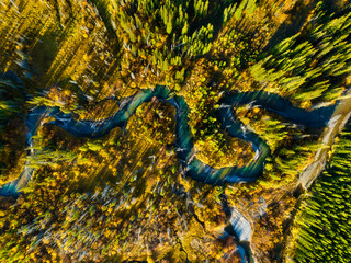 Wall Mural - a drone view of the river in the woods. an aerial view of an autumn forest. winding river among the 
