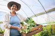 © Charlize Davids/peopleimages.com - Smile, greenhouse and portrait woman on vegetable farm for sustainable business, nature and box. Agriculture, gardening and happy face of female farmer, green plants and agro farming for healthy food