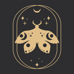 Wall Mural - set golden celestial frames, borders, arch line art esoteric minimal decoration with sparkles isolat