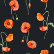 © Elena - Watercolor seamless pattern with hand drawn summer bright red poppy flowers. Isolated on color background. Design for invitations, wedding, love or greeting cards, paper, print, textile