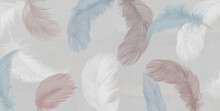 White Background Multi Coloured Feathers On A Gray Background Wallpaper Mural