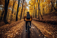 A Cyclist Rides A Bike On A Road In An Autumn Forest With Yellow Leaves, A View From The Back