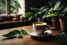 Cup Of Espresso With Houseplant, Cup Of Coffee, Cup Of Coffee And Tree, Cup Of Coffee With Sticks, Cup Of Coffee With Flowers, Cup Of Coffee On The Table, Cup Of Coffee On The Table