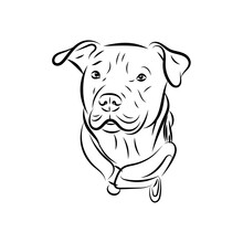Minimalist Line Art Of Pitbull, Pets Illustration