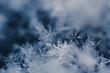 © Thomas Richter - closeup of snowflakes on blue background on a cold winter day