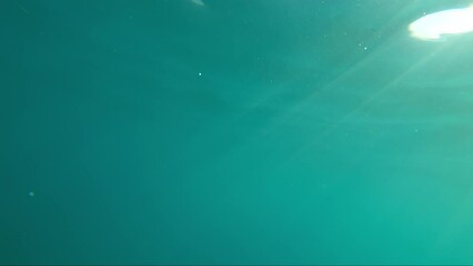 Wall Mural - Underwater shot of deep ocean water and sunlight rays beaming through the surface in summer