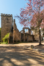 Fake Ruins In The Evora Public Park In Portugal Built In The 1860s Using Materials From The Ruins Of Several Other Local Monuments Mostly Remains Of Twinned Windows In Manueline And Mudejar Styles