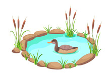Pond With Reeds And Duck. Lake In Cartoon Style. Pond With Grass And Stones