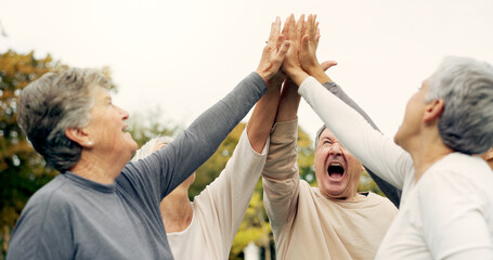 Wall Mural - High five, support and a group of senior friends together in a park for motivation, success or celebration. Team building, partnership and community with elderly people bonding outdoor in a garden