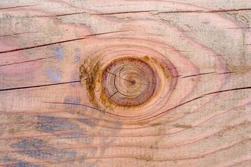 Wall Mural - close up of a wooden texture