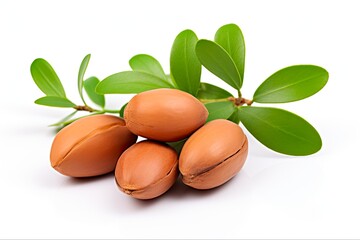 Moroccan Argan Nuts - Whole, Half, and Chopped with Oil Drop on Isolated White Background for Cosmetics and Health: Generative AI