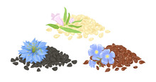 Heap Of Flax Seeds, Black Cumin And Sesame. Set Of Vector Cartoon Illustration.