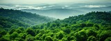 Sustainability net zero carbon negative forest nature Biodiversity Diversity, Generative AI