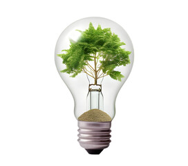 Wall Mural - 3d light bulb with plant inside, eco concept isolated on transparent background