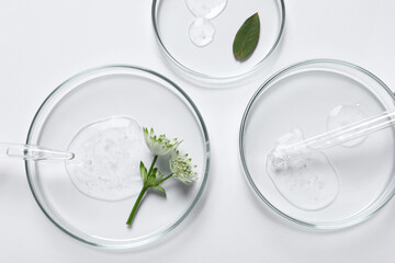 Wall Mural - Petri dishes with samples of cosmetic oil, pipette and flowers on white background, flat lay