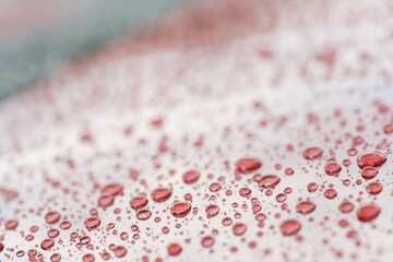 Wall Mural - Rain droplets on red sports car surface with hydrophobic treatment