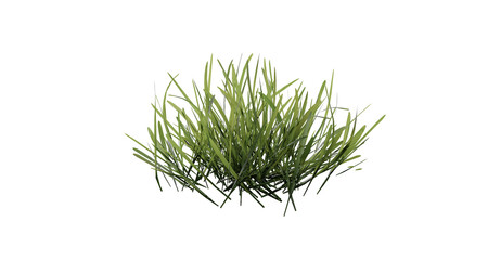 Sticker - Bunches of grass on a transparent background. 3D rendering.	