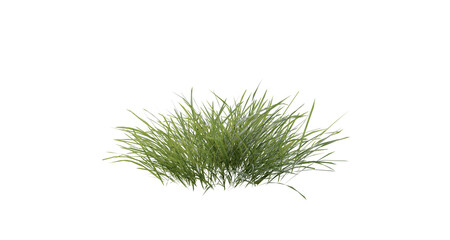 Wall Mural - bunches of grass on a transparent background. 3d rendering.