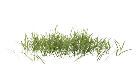 Wall Mural - bunches of grass on a transparent background. 3d rendering.