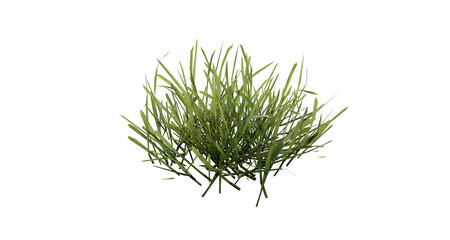 Sticker - Bunches of grass on a transparent background. 3D rendering.	