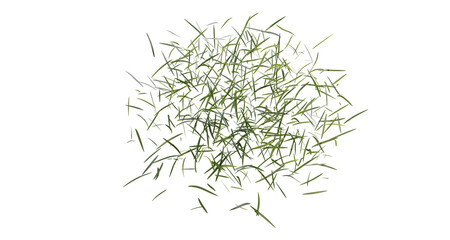 Wall Mural - bunches of grass on a transparent background. 3d rendering.