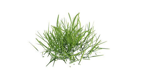 Wall Mural - bunches of grass on a transparent background. 3d rendering.