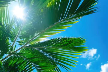 Wall Mural - Palm Tree Leaves against a Clear Blue Sky