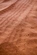 © Kim - Tiny spoor or tracks, Kgalagadi Transfrontier Park, Kalahari, South Africa
