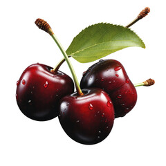 Black cherry , Isolated On Transparent, PNG