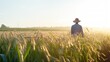 Rear view of a farmer standing in the middle of a wheat field