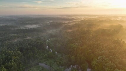 Wall Mural - foggy morning over the river and forest - aerial footage