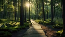 Wooden Path In A Forest With Sunlight Generative AI