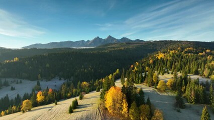 Poster - panorama of the autumn mountains - aerial view	