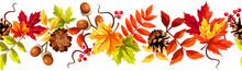 Seamless Border With Red, Orange, Yellow, And Green Autumn Leaves, Acorns, Rowan Berries, And Pine Cones. Vector Illustration