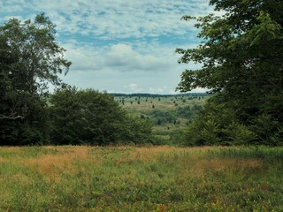 Sticker - Scenic view of a green field in Dolly Sods, West Virginia