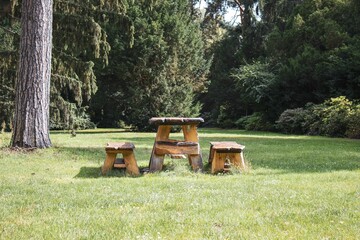 Poster - Scenic view of wooden table in a green park