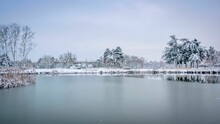 Picturesque Winter Scene Of A Lake, Surrounded By A Variety Of Trees On Its Shoreline