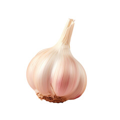 Wall Mural - Photo of garlic on a transparent background
