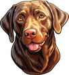 Portrait of a brown retriever, Labrador dog