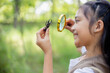 © FAMILY STOCK - A little Asian girl using a magnifier to study a stag beetle in a park.